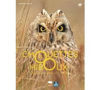 Chouettes Et Hiboux - Les Yeux Dans Les Yeux