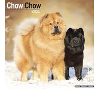 Chow Chow Calendar 2025 Square Dog Breed Wall Calendar - 16 Month