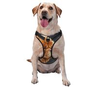 Chow-Dog Vintage,Harnais pour Animaux de Compagnie, Harnais réfléchissant réglable pour Chien,L