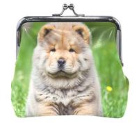 Chow Puppy Dog Grass Porte-monnaie et pochettes pour femme avec boucle et verrou pour monnaie, Herbe pour chien Chow Puppy, Classique
