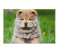 Chow Puppy Dog Grass Puzzle pour adulte 500 pièces Éléphant blanc Puzzle unique Jouet Œuvre d'art, 52,5 x 37,9 cm