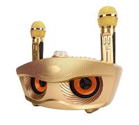 Chrees Machine de karaoké Portable avec Haut-Parleur Bluetooth, Microphones sans Fil avec Batterie 1800 MAh pour iOS TV PC, Son Clair 6 Effets Vocaux