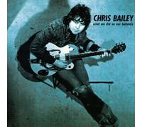 Chris Bailey - What We Did On Our Holidays