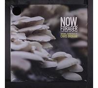 Chris Brokaw – Now Forager (OST)