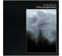 Chris Eckman Where the Spirits Rest (Vinyl) 12" Album