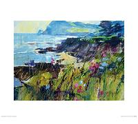 Chris Forsey (Getting to The Point, Prawle 40 x 50 cm Toile Imprimée