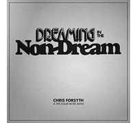 Chris Forsyth & Koen Holtkamp - Dreaming In The Non-Dream