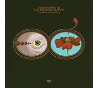 CHRIS FORSYTH & THE SOLAR MOTEL BAND - The Rarity of Experience