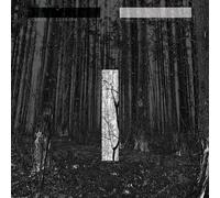 Chris Liebing Another Day (Vinyl) 12" Album