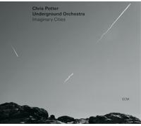 Steve Nelson – Imaginary Cities