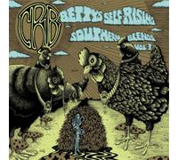 Chris Robinson Brotherhood – Bettys Self Rising Southern Blends Vol 3 – CD
