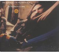 Chris Robinson & New Earth... – This Magnificent Distance