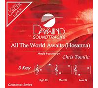 Chris Tomlin - All The World Awaits [Accompaniment/Performance Track] [Import]