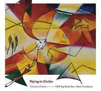 Christian Elsässer - Flying in Circles [Import]