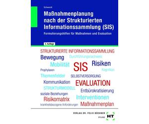 Christine Schwe Maßnahmenplanung nach der Strukturierten Informationssam (Poche)