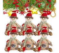 Christmas Bags Zipper Design, 2026 New Reusable Christmas Zipper Gift Bags, Large Fabric Doll Gift Bag, Thickened Felt Material for Presents, Apples, Candies and Gift (6Pcs-B)