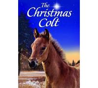 Christmas Colt