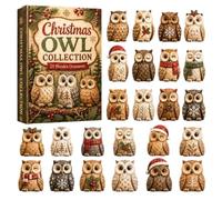 Christmas Countdown 2D Acrylic 24 Days Owl Ornments | 2026 Christmas Calendar Countdown Box for Kids Ten Boys Girls Home Office School Holiday Party Favors