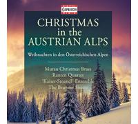 Christmas in The Austrian Alps
