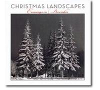 Christmas Landscapes: Best of Evening in December