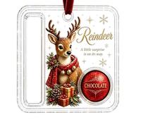Christmas Money Ornament - Acrylic Shatterproof Reusable Pendant