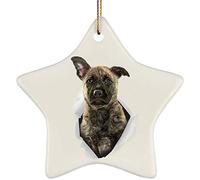 Christmas Noël Hanging avec Ficelle Dorée Décoration De Vacances Céramique Décoration De Noël À Suspendre Déco De Noël Un Drôle De Chiot Berger Hollandais Sort d'un Mur Fissuré