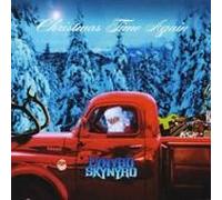 Lynyrd Skynyrd - Christmas Time Again [Import]