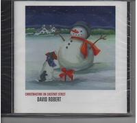 ChristmasTime on Chestnut Street