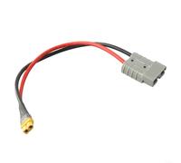 Chroavel Câble de charge solaire en cuivre argenté 50 A 30 cm pour station | Puissance 50 A 600 V, section transversale 10 AWG, longueur 30 cm, pour connexion XT60, idéal pour les stations