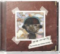 Get Cape, Wear Cape. Fly – Chronicles of a Bohemian Teenager – Import