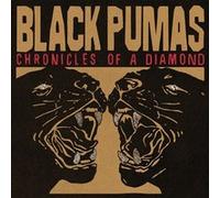 Chronicles of a Diamond