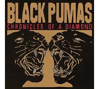 Black Pumas – Chronicles of A Diamond – CD – Universal Music Group
