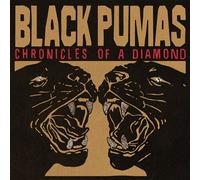 Chronicles Of A Diamond Vinyle Transparent Vinyle