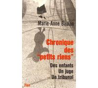 Chronique des petits riens. La Vie quotidienne d'une juge pour enfant