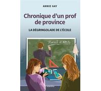 Chronique d'un prof de province La dégringolade de l'école - Annie Gay - Cabedita - broché - Témoignage