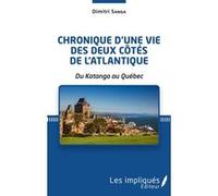 Chronique d'une vie des deux côtés de l'Atlantique Dimitri Sanga (Auteur)