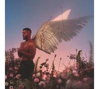 Chroniques D’un Cupidon