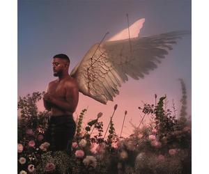 Chroniques D’un Cupidon