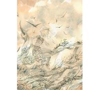 Chroniques de l'île de l'éphémère - Evergreen Yeh - Nazca - broché - Manga