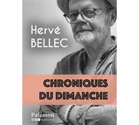 Chroniques du dimanche - Hervé Bellec - Du Palemon Eds - broché - Roman