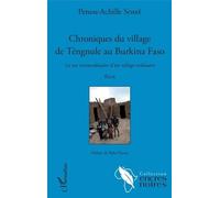 Chroniques du village de Tengnule au Burkina Faso: La vie extraordinaire d'un village ordinaire Récit