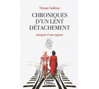 Chroniques d'un lent détachement - Autopsie d'une rupture