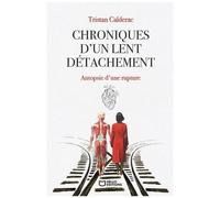 Chroniques D'un Lent Détachement - Autopsie D'une Rupture