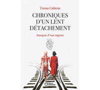 Chroniques d'un lent détachement - Autopsie d'une rupture - Tristan Calderac - Hello - broché - Roman