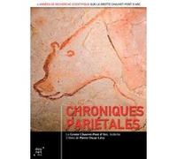 Chroniques pariétales DVD E