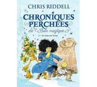 Chroniques perchées du bois magique t. 2 Un éternel hiver - Chris Riddell - Milan Eds - cartonné - Roman junior