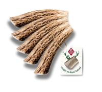 ChronoBalance® Bâtonnets XS (Lot de 2) à mâcher en Bois de cerf Offrez à Votre Chien Un Jouet Durable et 100% Naturel Qui favorise l’hygiène Dentaire, sans Produits Chimiques