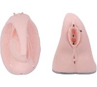 CHROX Mannequin en PVC, Modèle Anatomique Interne Et Externe De L'appareil Reproducteur Féminin pour l'enseignement Médical Et La Formation en Soins Infirmiers