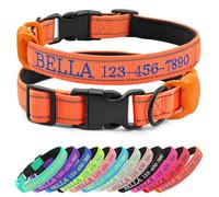 CHRYMPETIC Collier personnalisé pour chien avec nom brodé et téléphone, collier en nylon pour chien avec support en silicone pour AirTag, doublure en néoprène, boucle à dégagement rapide en plastique