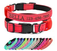 CHRYMPETIC Collier personnalisé pour chien avec nom brodé et téléphone, collier en nylon pour chien avec support en silicone pour AirTag, doublure en néoprène, boucle à dégagement rapide en plastique